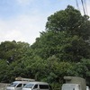 北野神社（東京都練馬区）