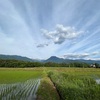 2023/06/05 月曜日　上高地