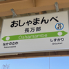 北海道大回りの旅　倶知安駅～東京（R2-31-5完）