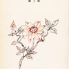 『この世の花』　北条誠