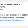iOS11.2.5 Public Beta3がリリース【更新：カメラのシャッター音が消音可能に】