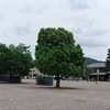 流れる景色を眺める、許された時間