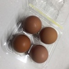 １個４０円の卵
