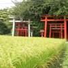 久々の新発田市内神社仏閣巡り「菅谷不動尊」～「大友稲荷 奥の院」