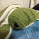 シイモノート