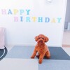 1歳のお誕生日♪