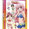 アニメ感想：バカとテストと召喚獣にっ!