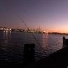 まだ諦めたくないショアジギング青物☆彡横浜