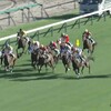 紫苑ステークスの結果です…。