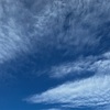 更新手続き