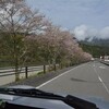 咲くら遊山2015　吾川の桜