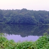 寺沢沼（群馬県前橋）