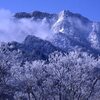 厳冬期の石鎚山