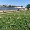 お散歩☆日サロ状態はGサマばかり