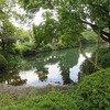 狭山池公園・・カワセミもいた・・（東京都西多摩郡瑞穂町）