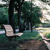 日々の写真 2024 vol.6／5月のお散歩写真