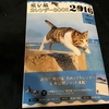 飛び猫カレンダーBOOK 2016【読書感想文】五十嵐健太／角川CSSムック