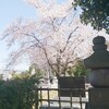 桜、咲くに見惚れる6　余談