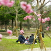 梅小路公園のお昼