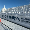 【北海道旅行④】トリトン栄町店2時間待ち！？つどーむで時間つぶし｜子連れ雪まつり