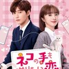 日本配信、邦題：『ネコの手も借りたい恋』配信&DVDリリース

《一不小心喵上你》英語：《Accidentally Meow on You》全24話

