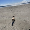 犬と海