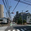 梅雨末のホンビノス狩り