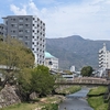 日々雑感（クマが出た？？）