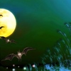 ハロウィンの館になるかも？