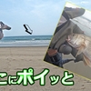 【今年初魚種🐟】濁りの中,もっさり魚が❗❓遠州灘 田原サーフ❗【釣行日2023/5/22(月)】