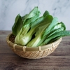 チンゲン菜に関する雑学！