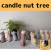 TreGattiy Marche vol.3 candle nut treeさん