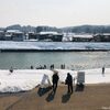 新潟の冬の風物詩。三条の「白鳥の郷公苑」へ行ってみたら自然あふれる光景に癒やされまくりました。