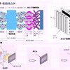 高分子電解質膜