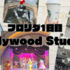 【旅行】フロリダディズニー１日目〜Hollywood Studios編〜