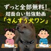 【ずっと全部無料！超面白くて勉強になる動画！】「さんすう犬ワン」！