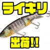 【カエス】前回即完の浮力調整出来るビッグベイト「ライキリ」出荷！