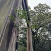「正しさ」を手放すには、なぜ自分がそれにこだわっているのかを考えてみること。