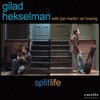 Split life / Gilad Hekselman（2006）