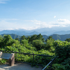 夏の思い出に高尾山を歩いてみた話