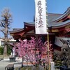 素盞雄神社の季節です。