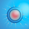 はじめての顕微授精と胚移植