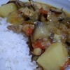 手づくりキット　インド風カレー・野菜用