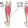 来年で90歳の人❗️