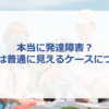 本当に発達障害？家では普通に見えるケースについて