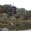 瑠璃光寺②：山口県山口市