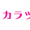 企業戦略で見る 宝塚歌劇団 と 七海ひろき