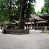 大神神社写真館(３/１３)