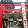 伊豆最古の神社　白浜神社で初詣