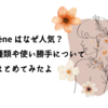 Polène（ポレーヌ）はなぜ人気？バッグの種類や使い勝手についてまとめてみたよ